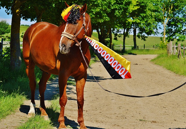 9game：多家西媒：皇马考虑为世俱杯准备创纪录的夺冠奖金.